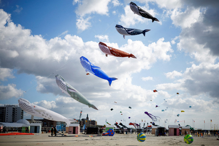 Những con diều được tạo hình cá dễ thương tung bay trong Lễ hội diều quốc tế lần thứ 37 được tổ chức tại bãi biển Berck-sur-Mer ở miền bắc nước Pháp, ảnh chụp ngày 21-4. (Reuters/Sarah Meyssonnier)