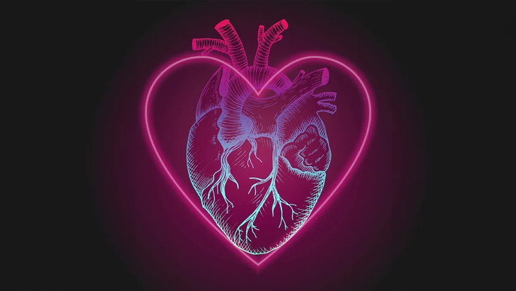 Biểu tượng trái tim được sử dụng phổ biến trông không giống một trái tim thật sự của con người - Ảnh: Shutterstock