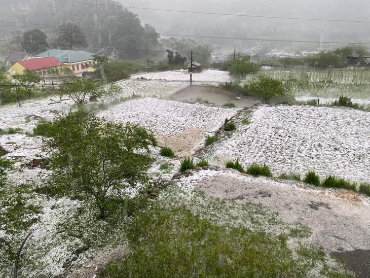 Mưa đá phủ trắng mặt đất ở Vân Hồ (Sơn La) chiều 24-4 - Ảnh: Tin tức Mộc Châu