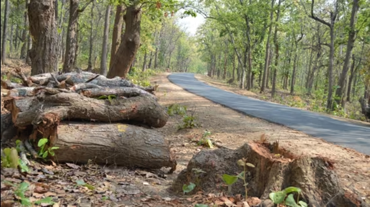 Cây bị đốn hạ để làm đường ở bang Odisha, Ấn Độ - Ảnh: HINDUSTAND TIMES