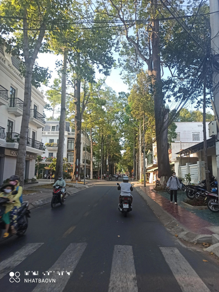 Những con đường xanh trân quý ở Trà Vinh quê hương tôi- Ảnh 5.