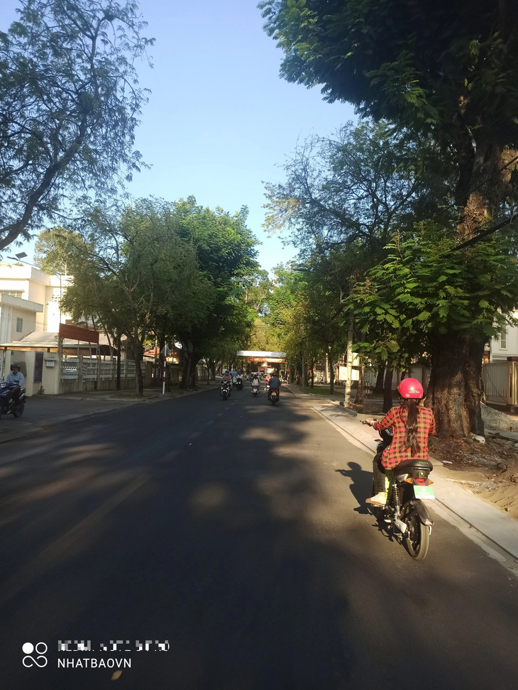 Những con đường xanh trân quý ở Trà Vinh quê hương tôi- Ảnh 7.