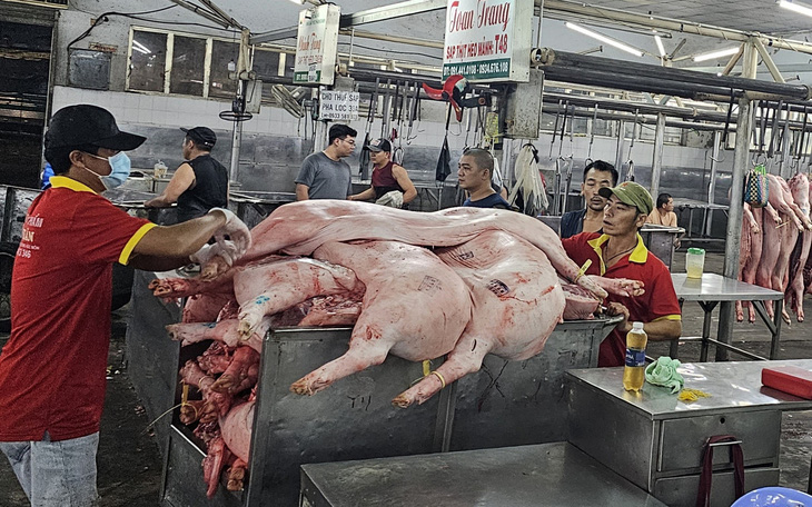 Giá heo hơi có thể lên 70.000 đồng/kg, người nuôi có lãi