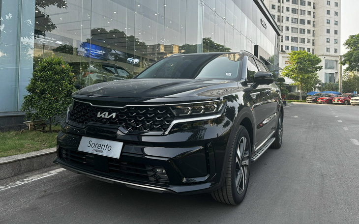 Kia cập nhật Sorento nhưng vẫn không được chấm điểm an toàn cao nhất - Ảnh 1.