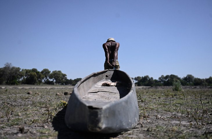 Người đàn ông kéo lê một chiếc ghe ngang con kênh khô cạn, nơi người dân thường chèo ghe gần làng Nxaraga, ngoại ô thị trấn Maun thuộc quốc gia nam phi Botswana, hôm 25-4. Theo các nhà khoa học, hạn hán khắp miền nam châu Phi chủ yếu do hiện tượng El Nino gây ra, chứ không phải là biến đổi khí hậu - Ảnh: AFP