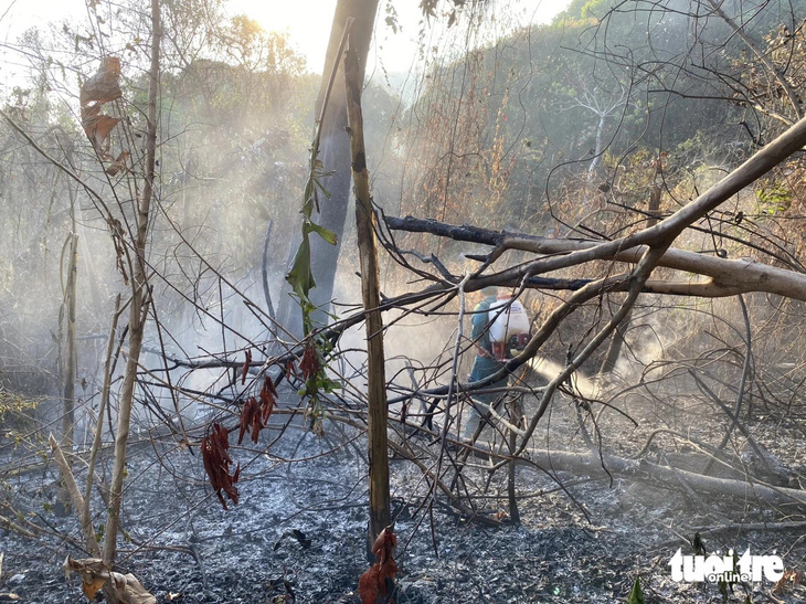 Chính quyền huyện Tri Tôn khẳng định đã cơ bản kiểm soát được vụ cháy núi Cô Tô - Ảnh: CTV