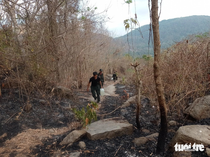 Lực lượng chức năng phải xách từng can nhựa chứa nước lên các điểm cháy ở núi Cô Tô - Ảnh: MINH KHANG