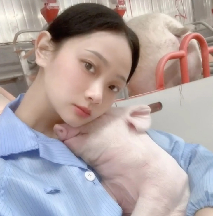 Giờ đây, Chu đã trở thành một công nhân lành nghề, cho lợn ăn, đỡ đẻ và tiêm thuốc - Ảnh: Douyin