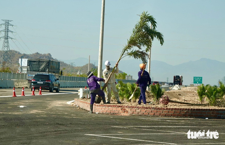 Công nhân trồng cây tại trạm dừng nghỉ tạm Km113 - Ảnh: TRẦN TIẾN DŨNG
