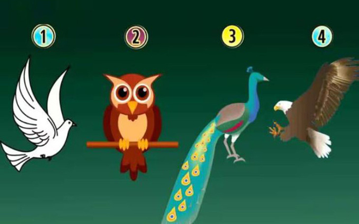 Quiz: Loài chim yêu thích tiết lộ bí ẩn về con người bạn