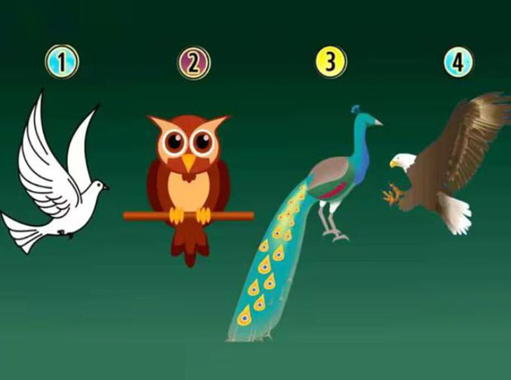 Quiz: Loài chim yêu thích tiết lộ bí ẩn về con người bạn- Ảnh 1.
