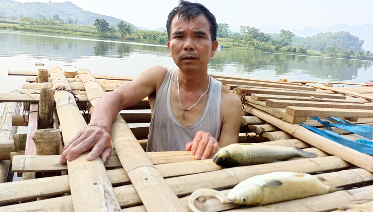 Cá nuôi lồng trên sông Mã đoạn qua huyện Bá Thước chết bất thường, khiến người dân lo lắng - Ảnh: CTV 