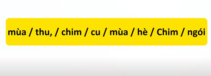 Thử tài tiếng Việt: Sắp xếp các từ sau thành câu có nghĩa (P78)- Ảnh 3.