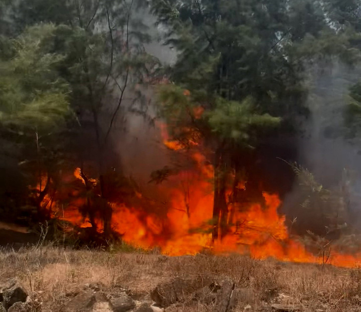 Đám cháy rừng xảy ra ở Hải Ninh, ngọn lửa đang trong tình trạng chưa thể kiểm soát - Ảnh: Q.NAM