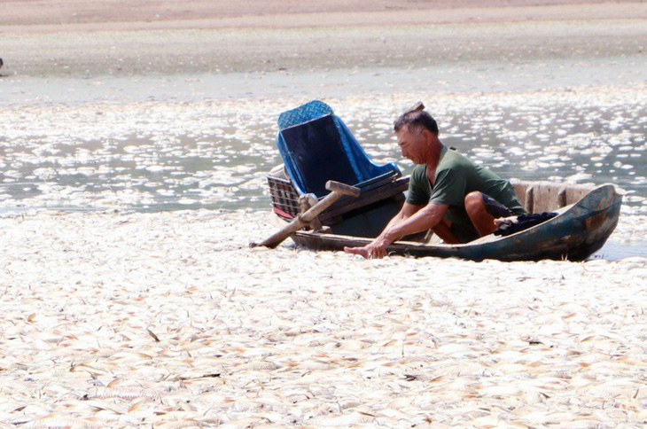 Lực lượng chức năng đang tích cực thu gom xác cá chết dưới hồ Sông Mây - Ảnh: AN BÌNH