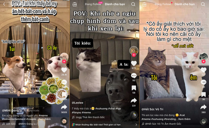 Các video nội dung hai chú mèo “trò chuyện” về tình yêu, cuộc sống hằng ngày - Ảnh: YẾN TRINH chụp màn hình
