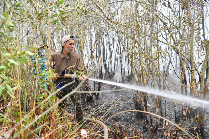 Trước đó, ngày 13-4, ở xã Giang Thành cũng xảy ra liên tiếp hai vụ cháy rừng tràm tái sinh và lực lượng chức năng địa phương đến ứng cứu dập lửa - Ảnh: CTV