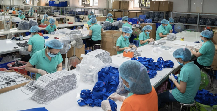 Tại Việt Nam, sau COVID-19 và cuộc khủng hoảng khẩu trang, vải không dệt mới được quan tâm đầu tư sản xuất mạnh mẽ - Ảnh: N.TRÍ