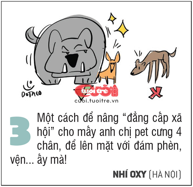 Một cách để nâng “đẳng cấp xã hội” cho mấy anh chị pet cưng 4 chân, để lên mặt với đám phèn, vện... ấy mà! Nhí Oxy (Hà Nội)