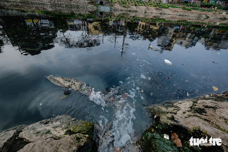 Nước thải sinh hoạt trực tiếp đổ ra sông Tô Lịch - Ảnh: NAM TRẦN