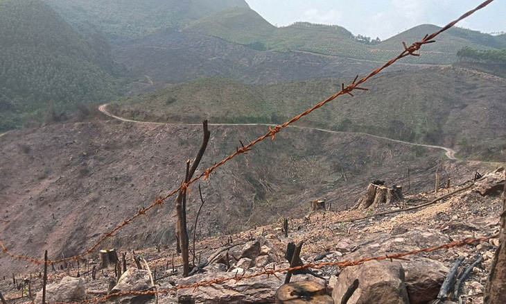Hiện trường vụ phá rừng ở Lục Nam, tỉnh Bắc Giang - Ảnh: HẢI VI