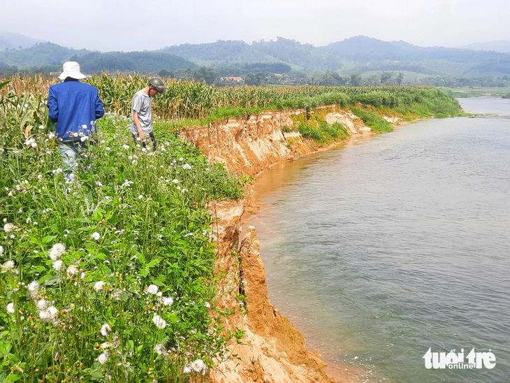 Bờ sông Ngàn Phố sạt lở mỗi năm lấn vào bãi Bè 10-15m - Ảnh: LÊ MINH