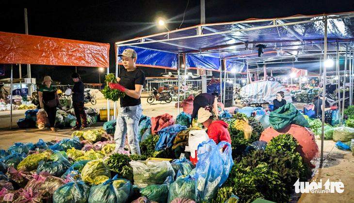 Tiểu thương buôn bán hàng nông sản tại chợ đêm Pleiku khi dời sang vị trí mới - Ảnh: TẤN LỰC 
