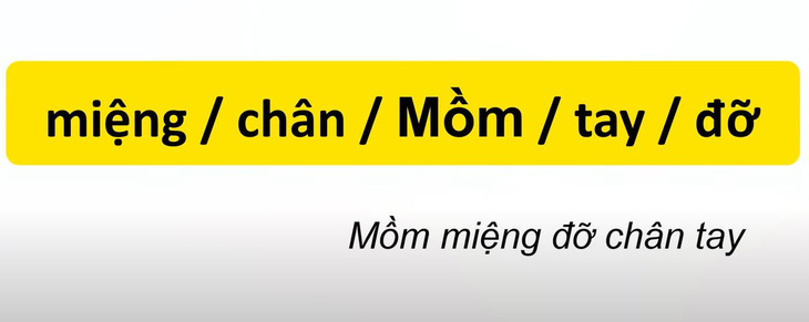 Thử tài tiếng Việt: Sắp xếp các từ sau thành câu có nghĩa (P55)- Ảnh 4.