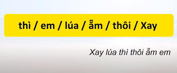 Thử tài tiếng Việt: Sắp xếp các từ sau thành câu có nghĩa (P57)- Ảnh 2.