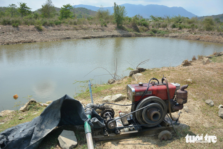 Nông dân xã vùng cao Hàm Cần đang tận dụng những nguồn nước tích trữ cuối cùng để tưới tiêu cầm chừng 