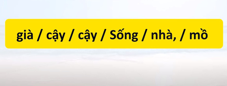 Thử tài tiếng Việt: Sắp xếp các từ sau thành câu có nghĩa (P58)- Ảnh 3.