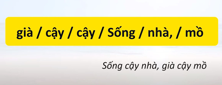 Thử tài tiếng Việt: Sắp xếp các từ sau thành câu có nghĩa (P58)- Ảnh 4.