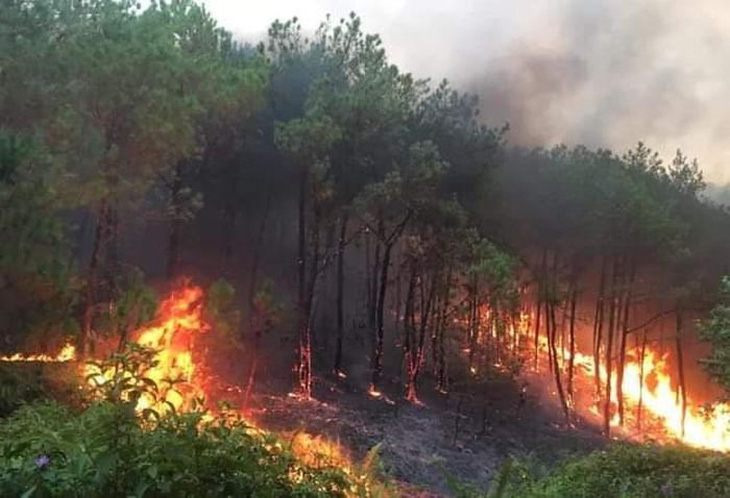 Vụ cháy rừng xảy ra ở địa điểm giáp ranh hai huyện Thanh Chương và Nam Đàn - Ảnh: H.A.