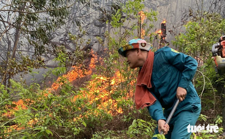 Lực lượng dân quân tham gia chữa cháy rừng ở xã Thanh Khai, huyện Thanh Chương, Nghệ An - Ảnh: TRÌNH NHÃ