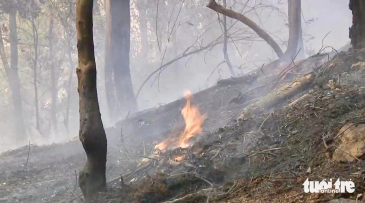 Vụ cháy rừng được khống chế sau gần hai ngày - Ảnh: DOÃN HÒA