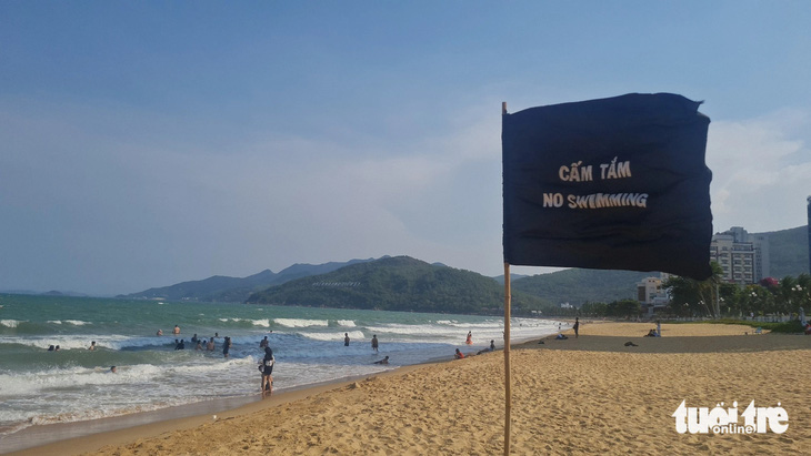 Các biển cảnh báo được cắm trên bãi biển Quy Nhơn - Ảnh: LÂM THIÊN