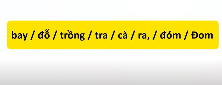 Thử tài tiếng Việt: Sắp xếp các từ sau thành câu có nghĩa (P79)- Ảnh 3.