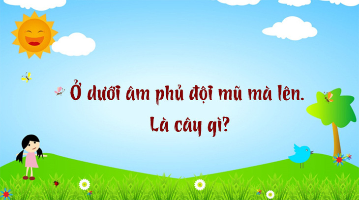 Câu đố hack não: Đi nhăn răng, về cũng nhăn răng- Ảnh 5.