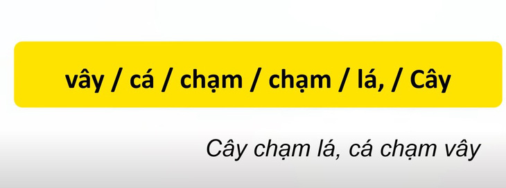 Thử tài tiếng Việt: Sắp xếp các từ sau thành câu có nghĩa (P81)- Ảnh 4.