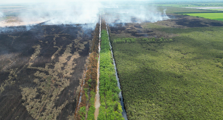 Một góc trên cao cảnh cháy rừng ở xã Vĩnh Phú (huyện Giang Thành, Kiên Giang) - Ảnh: TRƯỜNG TIẾN