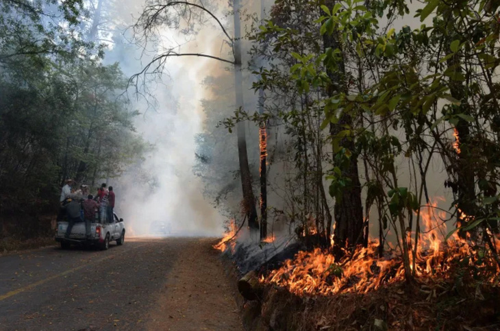 Cháy rừng ở Otzoloapan, bang Mexico, Mexico, vào ngày 6-5 - Ảnh: AFP