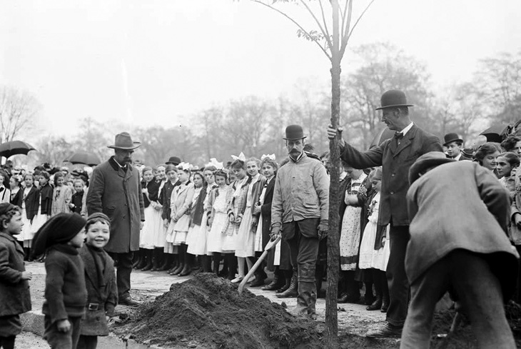 Một trường học ở New York tham gia Arbor Day năm 1908. Ảnh: Thư viện Quốc hội Mỹ