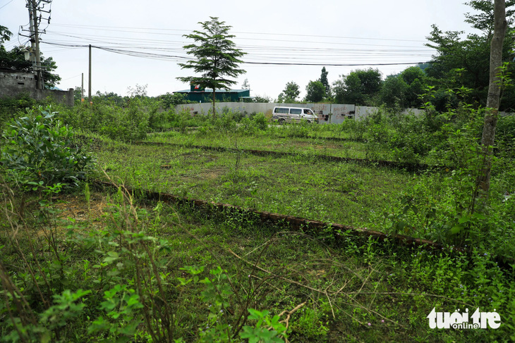 Nhiều khu đất chia lô ở xã Tiến Xuân (huyện Thạch Thất, Hà Nội) bị cỏ dại bủa vây - Ảnh: D.KHANG