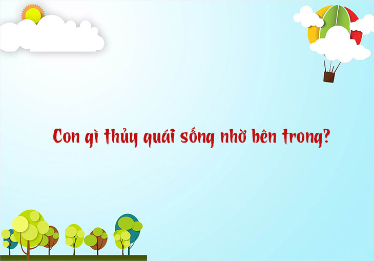 Câu đố hack não: Con gì luôn gây tai họa cho người?- Ảnh 5.