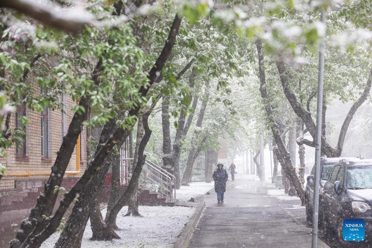 Tuyết rơi ở Matxcơva, Nga hôm 8-5 - Ảnh: XINHUA