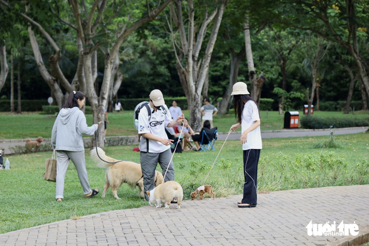 Chó thả rông chạy loạn xạ tại công viên Hồ Bán Nguyệt- Ảnh 6.