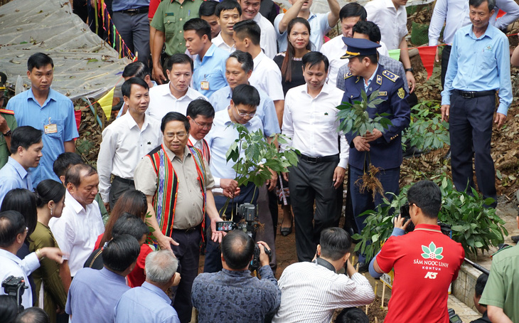 Thủ tướng Phạm Minh Chính trong chuyến công tác tới vườn sâm tại huyện Tu Mơ Rông, Kon Tum hồi tháng 10-2023. Sau đó, ông đã tặng 12.000 cây sâm giống cho bà con nghèo - Ảnh: HUỲNH CÔNG ĐÔNG
