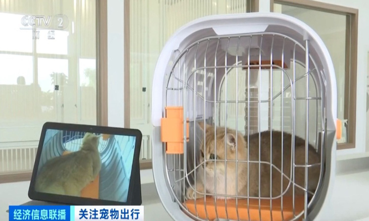 Trung Quốc khai trương phòng chờ cho thú cưng ở sân bay