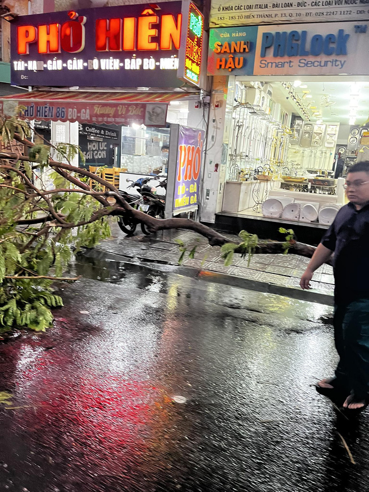 Trận mưa lớn khiến cây ngã đổ trên đường Tô Hiến Thành, quận 10 - Ảnh: MỸ DUNG