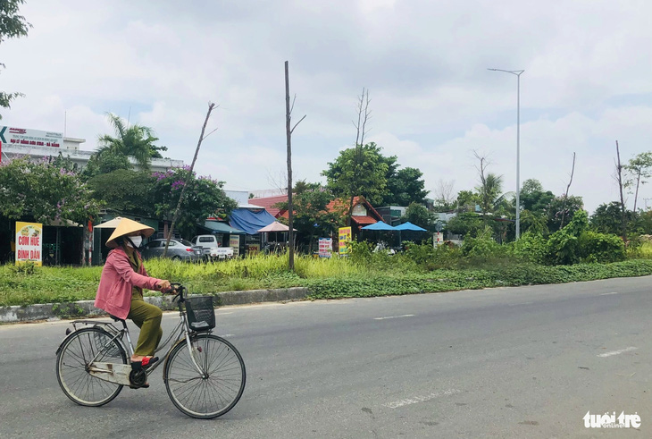 Hiện nay, hạng mục cây xanh vẫn chưa được bàn giao cho Công ty Công viên, cây xanh Đà Nẵng - Ảnh: ĐOÀN CƯỜNG